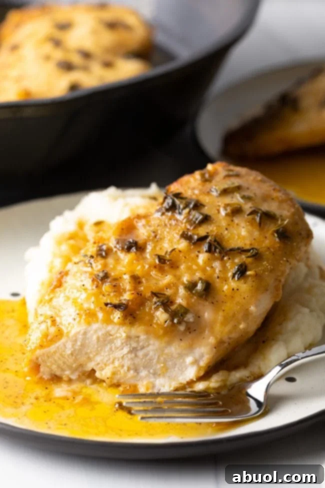 up close side view chicken breasts with lemon garlic pan sauce on mashed potatoes, with cut taken to show the juicy chicken