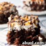 Small image of Retro Better Than Sex Cake