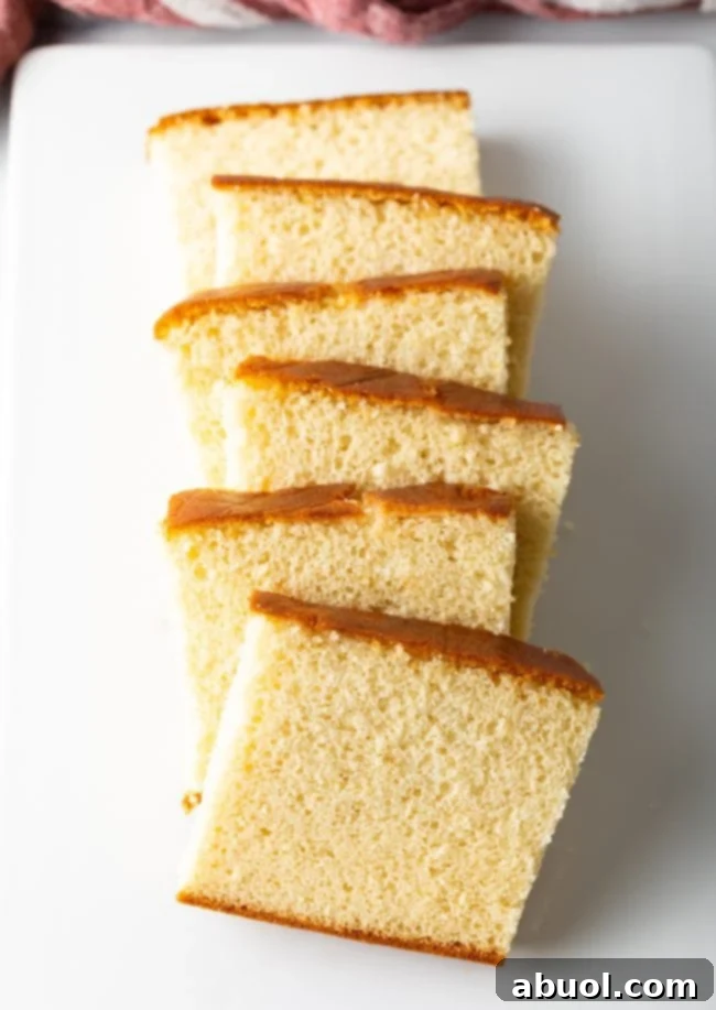 Elegant slices of Japanese Sponge Cake beautifully lined up on a pristine white plate, ready to be served.