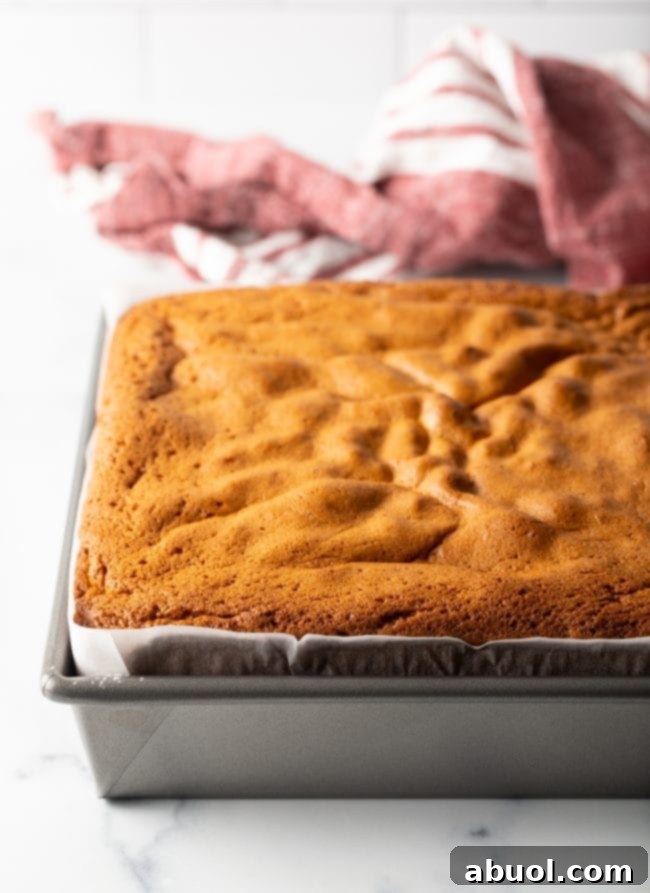 A perfectly baked Japanese Castella sponge cake, golden and risen, still warm in its baking pan after being removed from the oven.