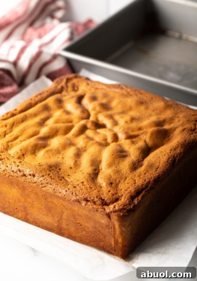 A freshly baked Japanese Sponge Cake, meticulously removed from its pan and resting on a sheet of parchment paper, showcasing its perfect golden crust.