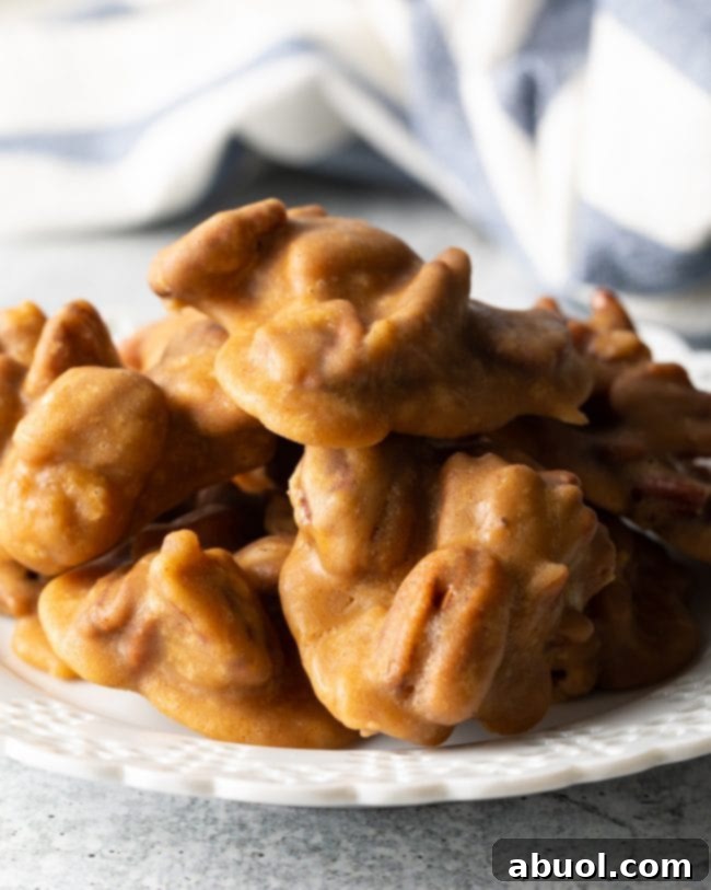 Close-up view of a mound of freshly made cinnamon praline pecans on a pristine white plate, showcasing their delightful texture and golden-brown coating.