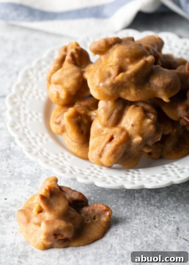 Top-down view of several beautifully formed pecan pralines resting on a white plate, with one individual praline placed beside the plate, ready to be enjoyed.