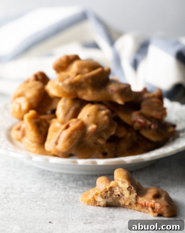 Side view of two cinnamon pralines with visible pecans on a white plate, with one candy bitten in half revealing its crumbly, nutty interior next to the plate.