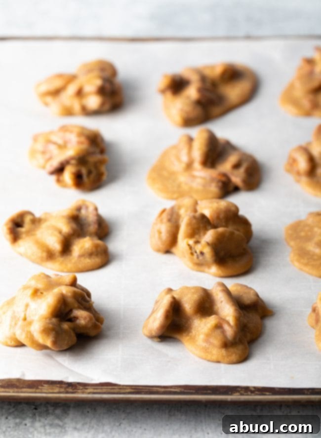 Rows of homemade pecan candy, each forming a distinct mound, are actively drying and cooling on parchment paper, showcasing their textured surfaces.