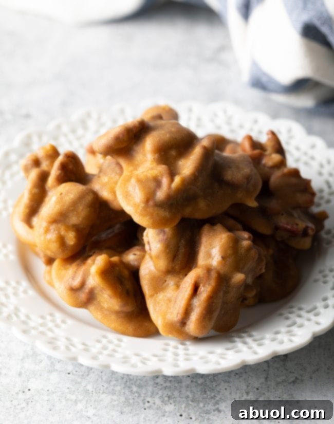 Top-down view of several finished pecan pralines neatly arranged on a clean white plate, ready for serving or gifting.