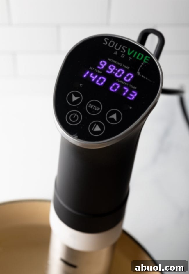 thermometer to get sous vide pork chops temperature right