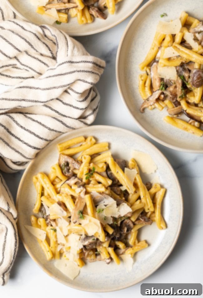 Top view of two bowls of creamy mushroom sauce pasta, ready to be served.