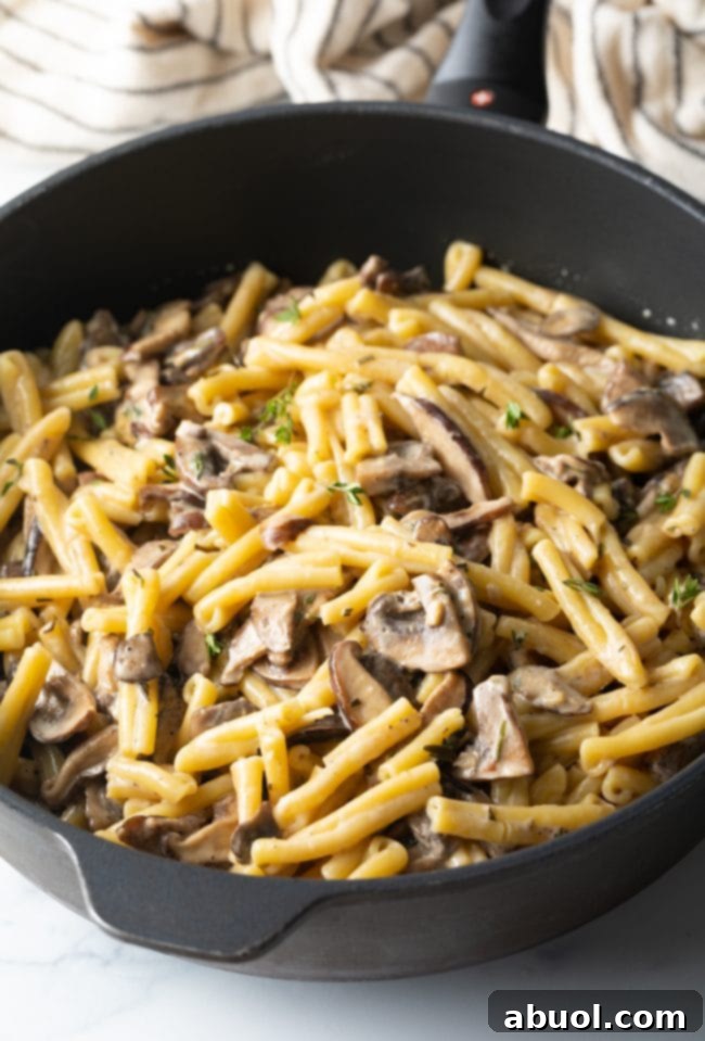 A heavy skillet filled with Gemelli mushroom pasta and rich cream sauce.