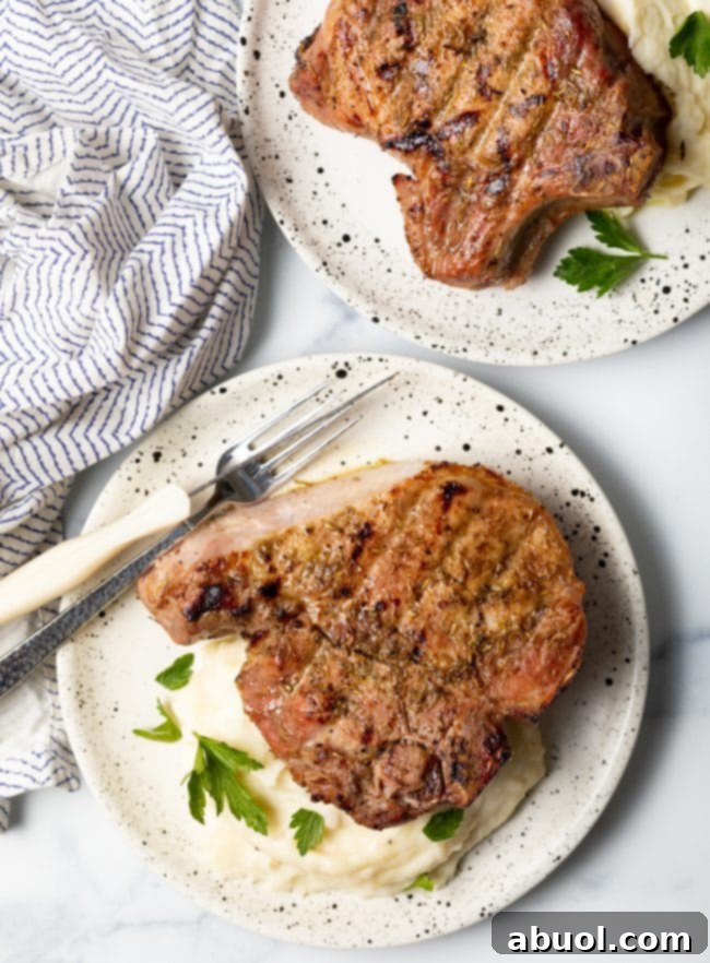 Top-down view of two beautifully smoked bone-in pork chops on a plate with mashed potatoes, ready to be served.