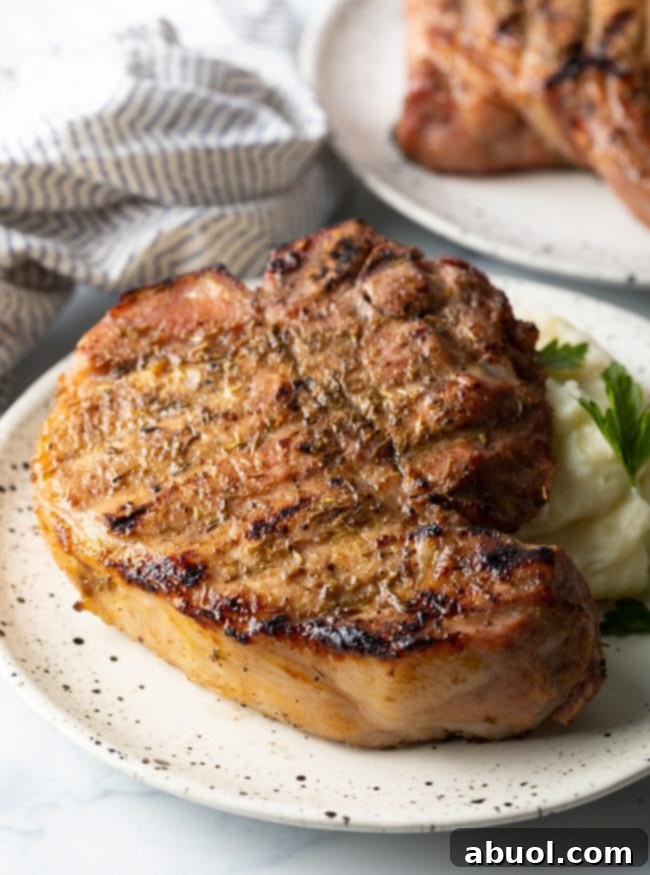 Close-up of a perfectly smoked pork chop on a plate, served with fluffy mashed potatoes.