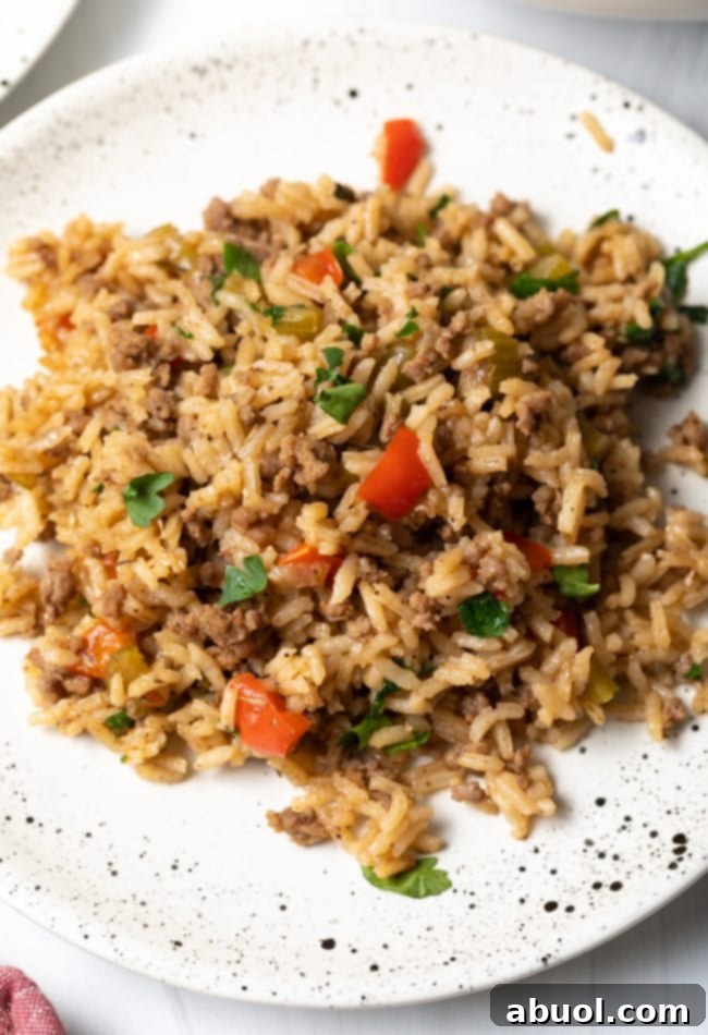 A serving of Cajun dirty rice on a plate.