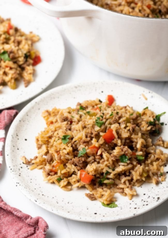 Closeup of plated dirty rice on a white plate. 