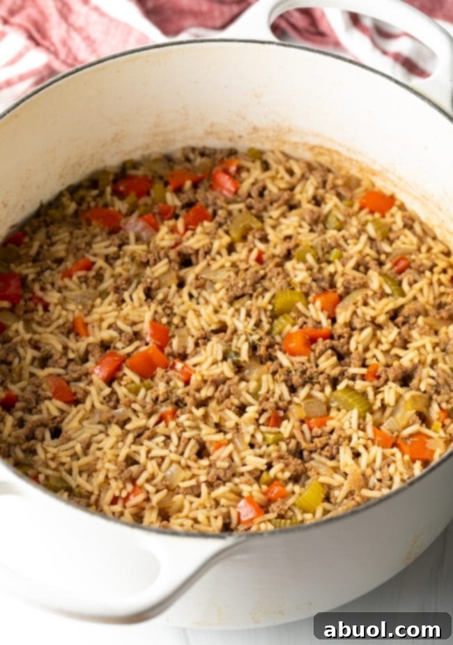 Cooked dirty cajun rice in a pot. 