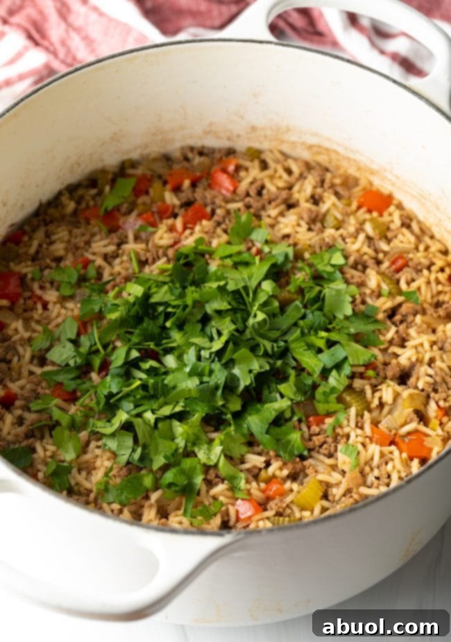 Cooked dirty rice in a pot topped with fresh parsley. 