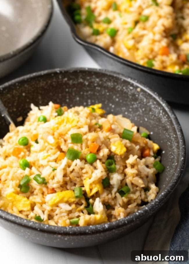 A vibrant bowl of hibachi style fried rice, ready to be enjoyed.