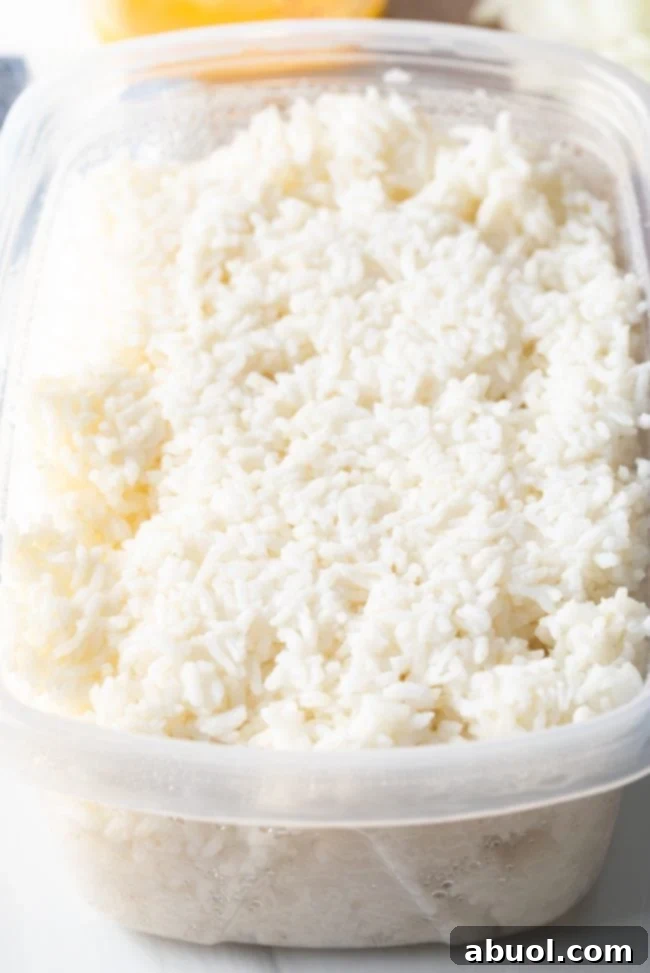 Cooked white rice in a container, ready for cooking.