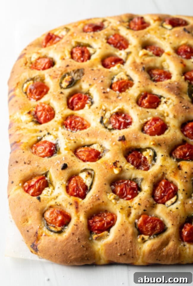 Close-up view of a perfectly baked focaccia loaf, showing its golden-brown crust, bubbly texture, and roasted tomato and basil toppings.