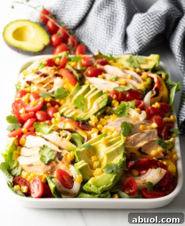 Grilled chicken fajita salad, presented widely on a platter with vibrant colors.