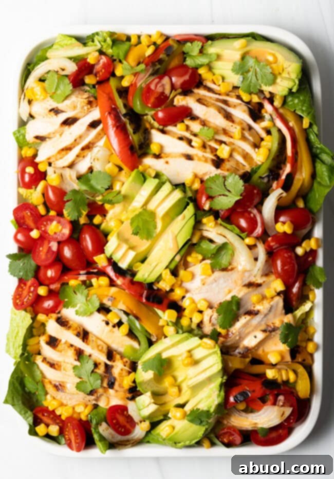 Top-down view of a colorful grilled chicken fajita salad on a white plate.