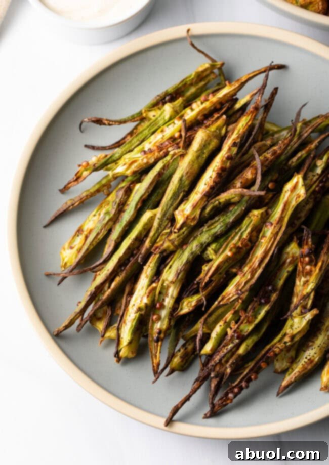 Top down view of a plate showcasing healthy, air-fried okra fries, lightly seasoned and golden.