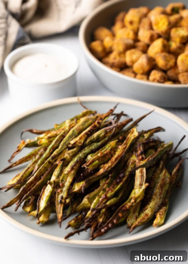 A vibrant plate of air-fried okra fries, perfectly golden and ready to be enjoyed as a side dish.