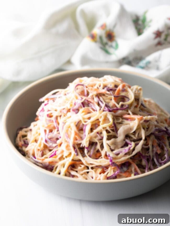 Close-up view of the final Southern Coleslaw dish in a bowl, garnished for serving.