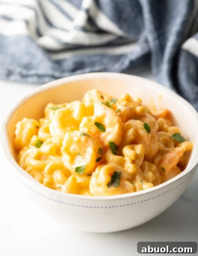 Closeup of a bowl of shrimp with macaroni and cheese.
