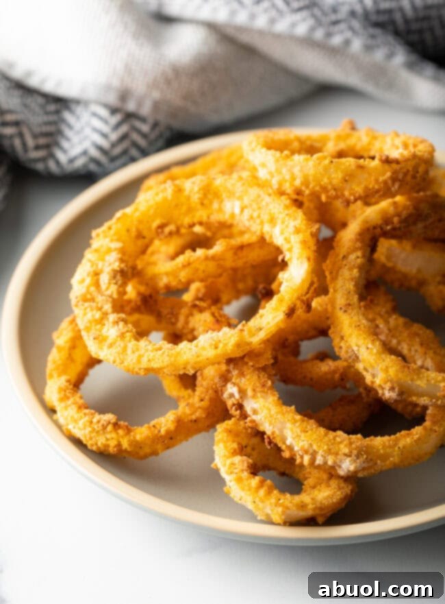 Plate with fresh air fryer onion rings.