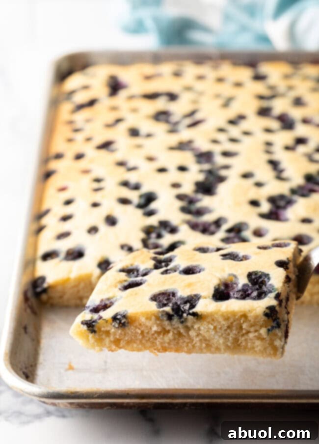 A spatula lifting a fluffy wedge of blueberry sheet pan pancake from a large baking sheet, showcasing the ease of serving oven baked pancakes.