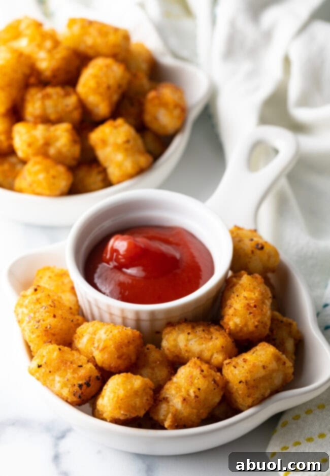 Two bowls of crispy air fryer tater tots, one with a side of ketchup, ready to be enjoyed as a snack or side.