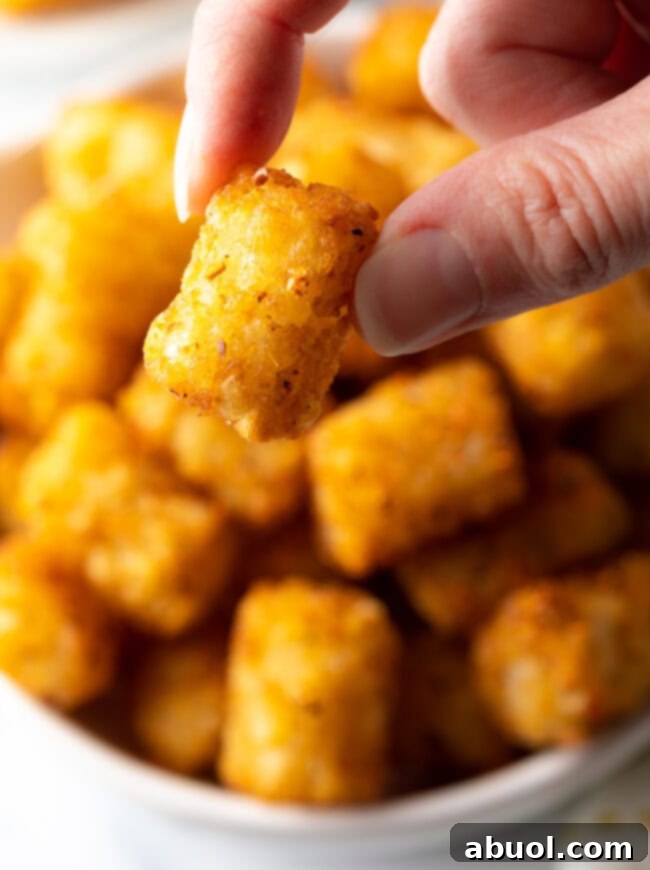 A hand holds a single, golden, perfectly crisp air-fried tater tot against a blurred background, highlighting its delicious texture.