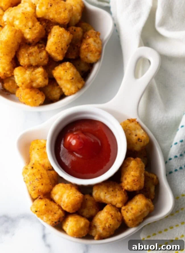 Bowls filled with crispy air fryer tater tots, served alongside a ramekin of classic ketchup for dipping.