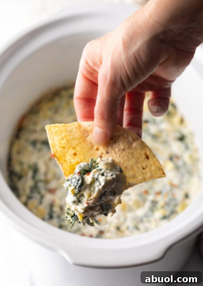 Hand with tortilla chip showcasing a perfect scoop of crockpot spinach and artichoke dip to the camera.