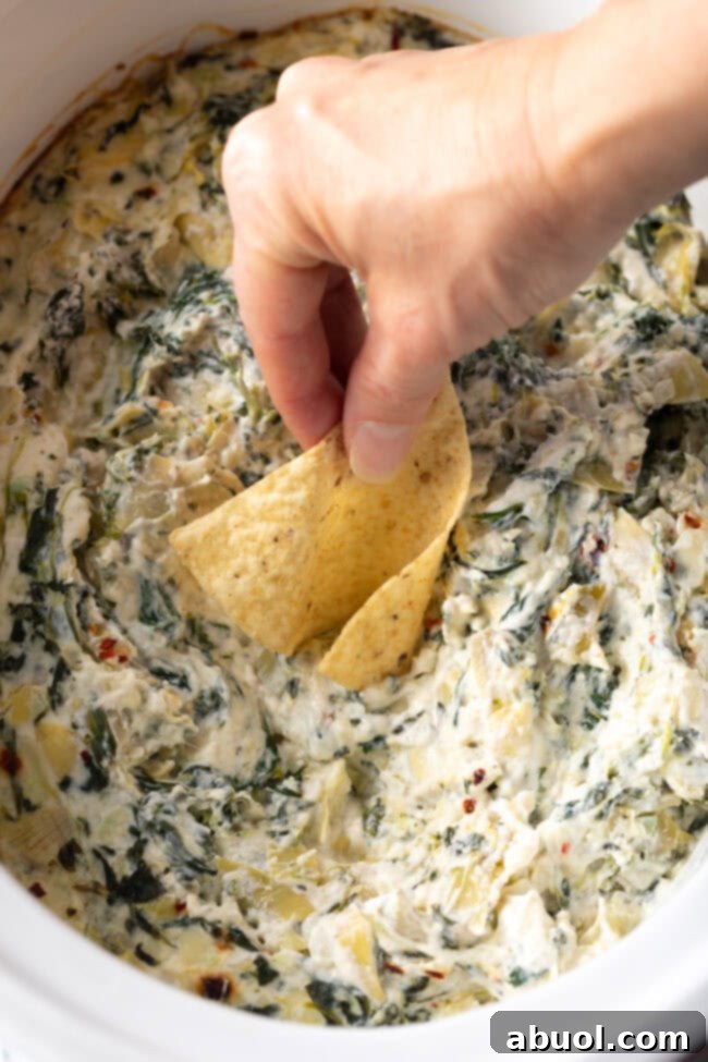 Hand scooping the Crockpot Spinach Artichoke Dip with a tortilla chip for a perfect bite.