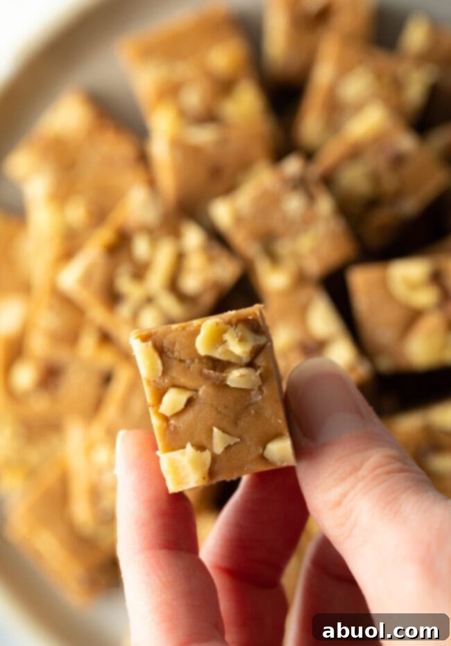 Hand holding piece to fudge for camera.