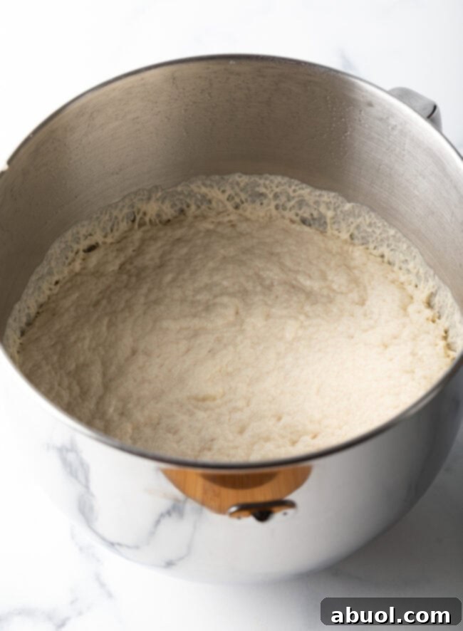 Dough in a metal bowl.