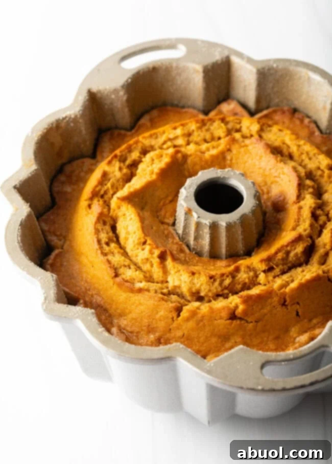 A perfectly baked sweet potato cake still in its Bundt pan, freshly removed from the oven and cooling.