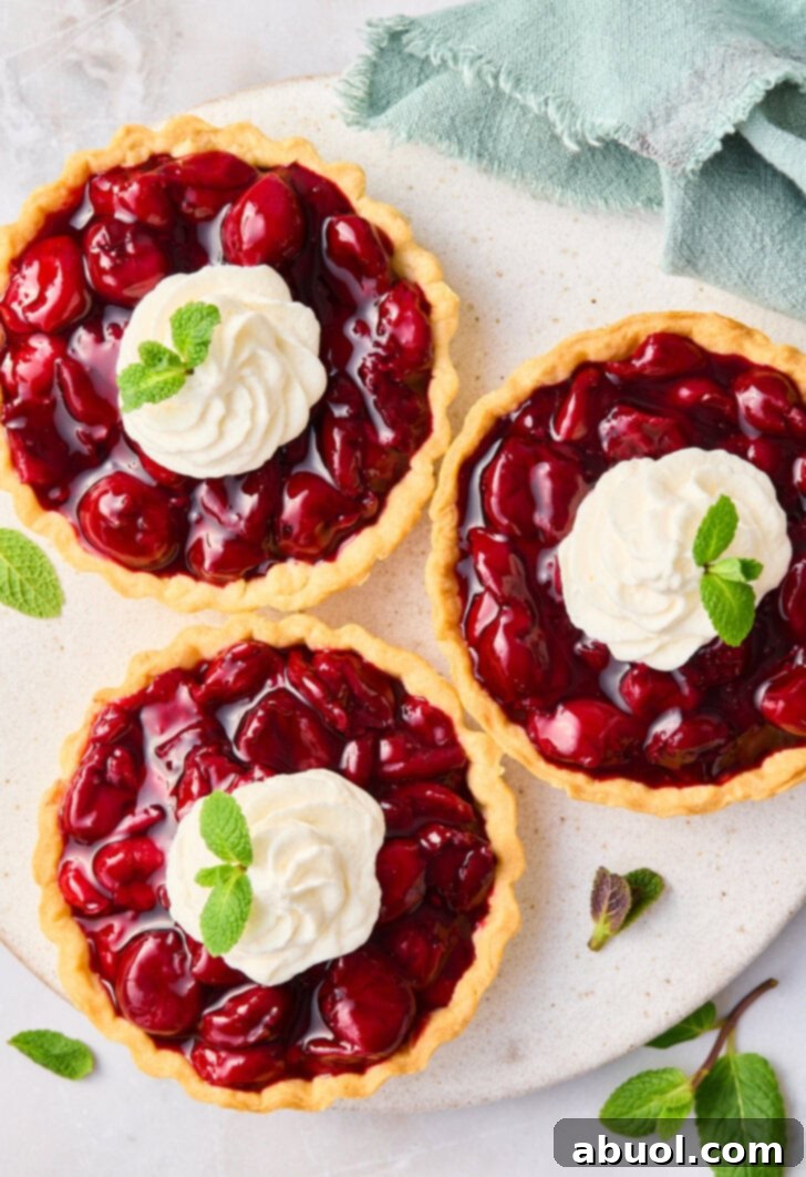 Overhead shot of three cherry tarts topped with whipped cream and mint. 