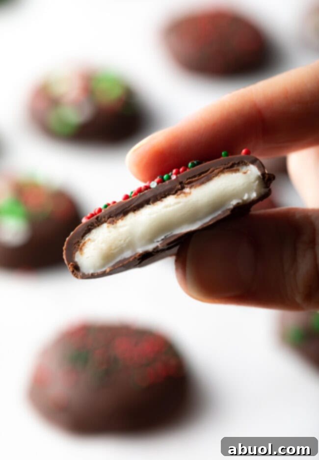Hand holding homemade peppermint patty bitten in half to camera.