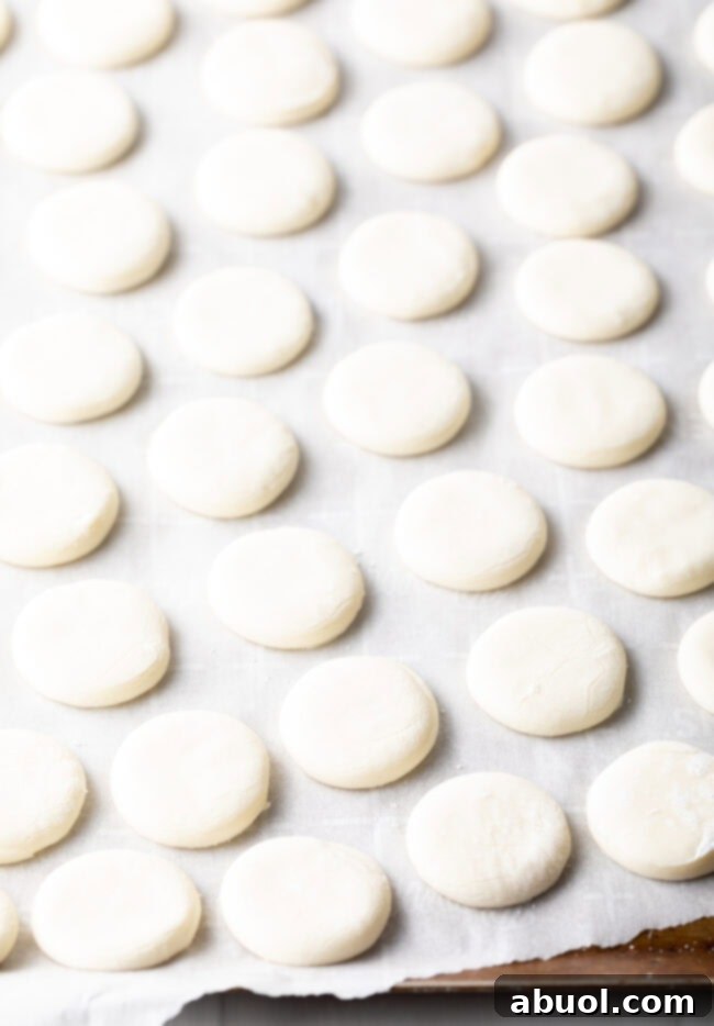 Dozens of small white dough discs on parchment paper.