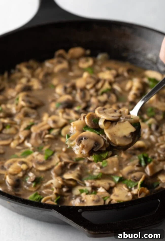 Hand with spoon showing mushroom wine sauce to camera.