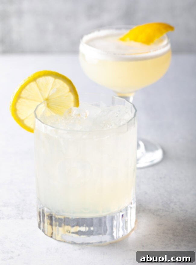 Two classic clear gin fizz drinks with lemon.