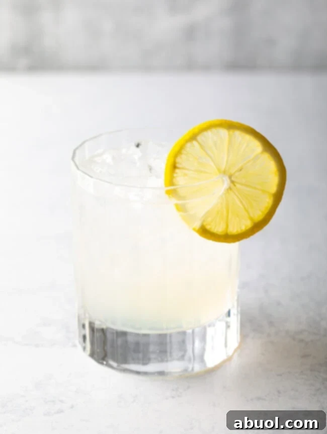 Classic fizz with gin and lemon in a highball glass.