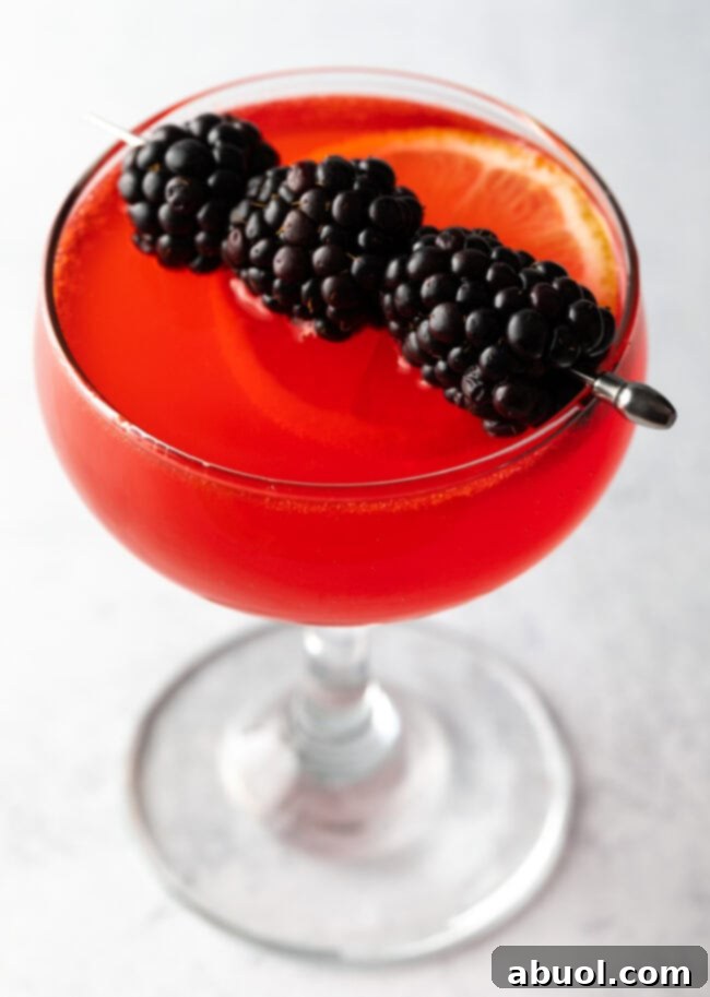 Close view martini glass with sloe gin fizz and skewer with berries.