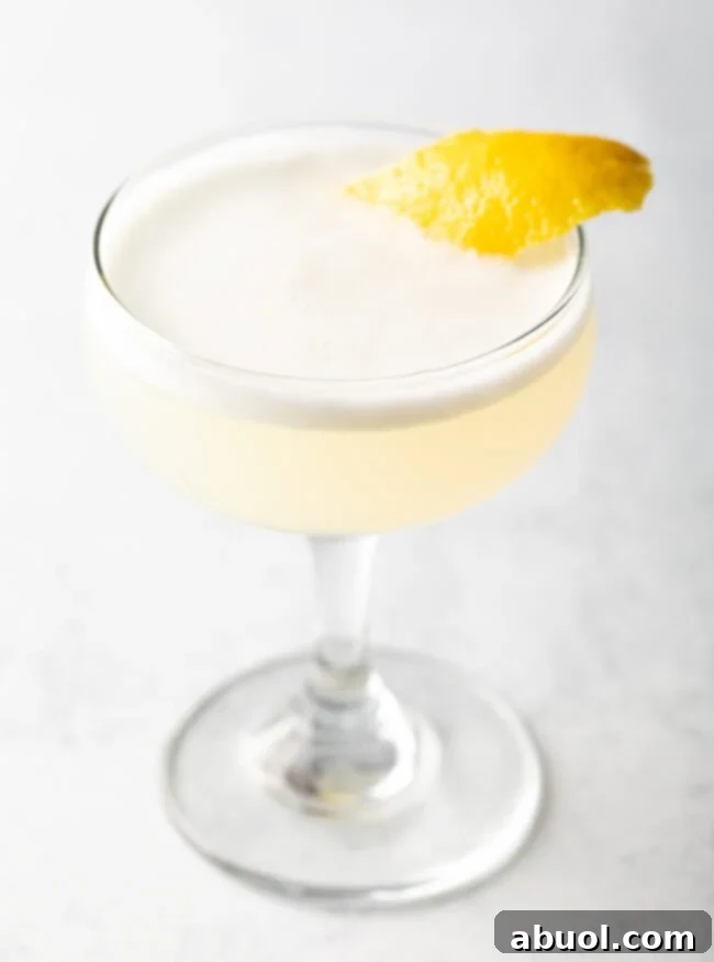 Frothy gin fizz with twist of lemon.