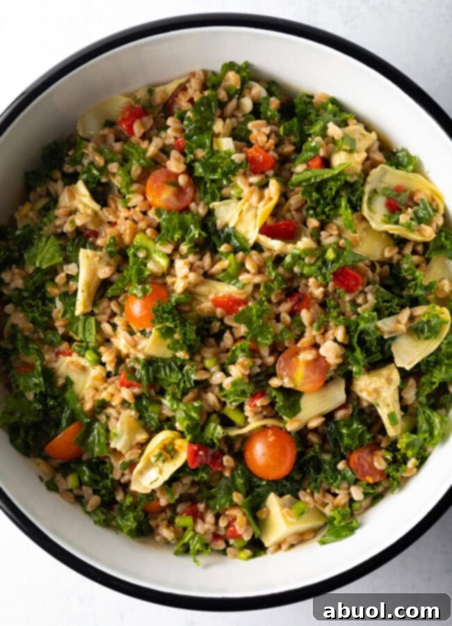 Top down view salad made with Farro and kale.