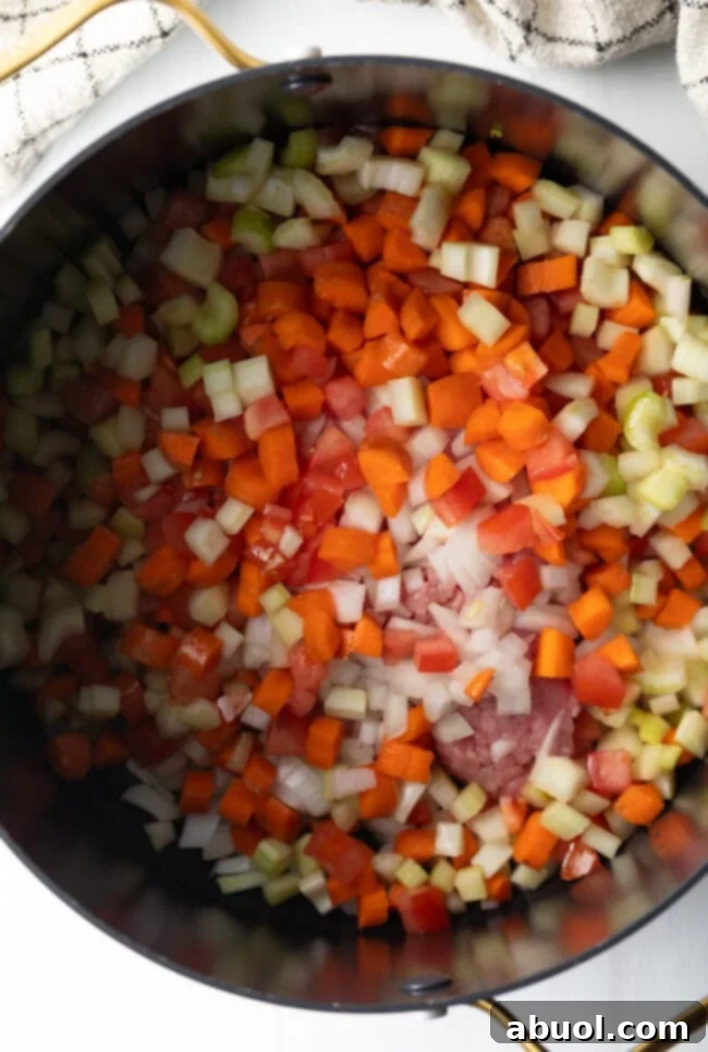 Top down view of consomme ingredients in a pot.