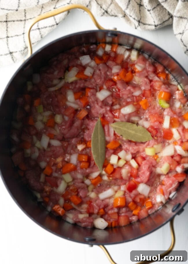 Top down view of consomme ingredients in a pot after adding beef stock.