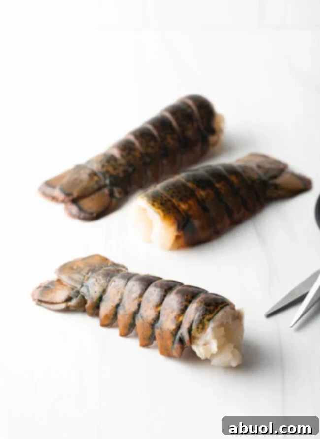Raw tail in shell on a white background.